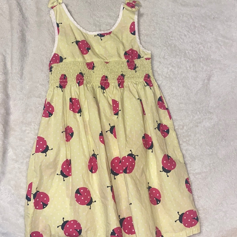 Gymboree Ladybug Dress 4T